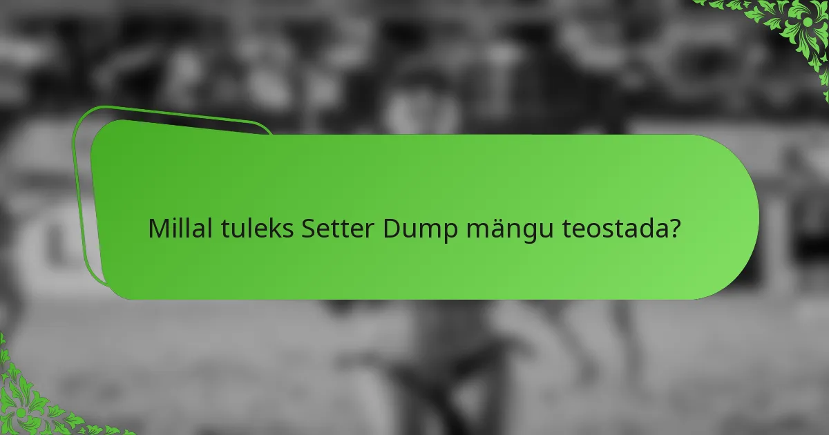 Millal tuleks Setter Dump mängu teostada?